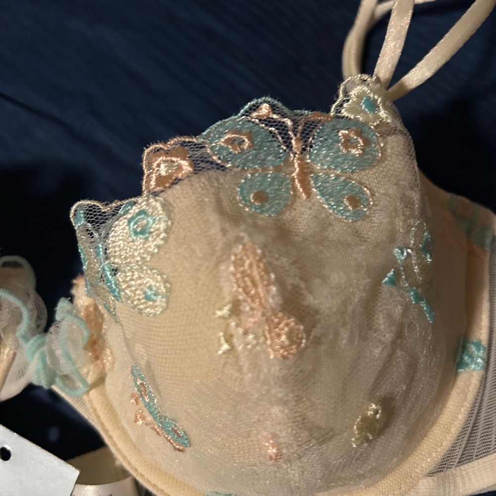 Butterfly push up bra and panty set. Sold only as set. Super cute!